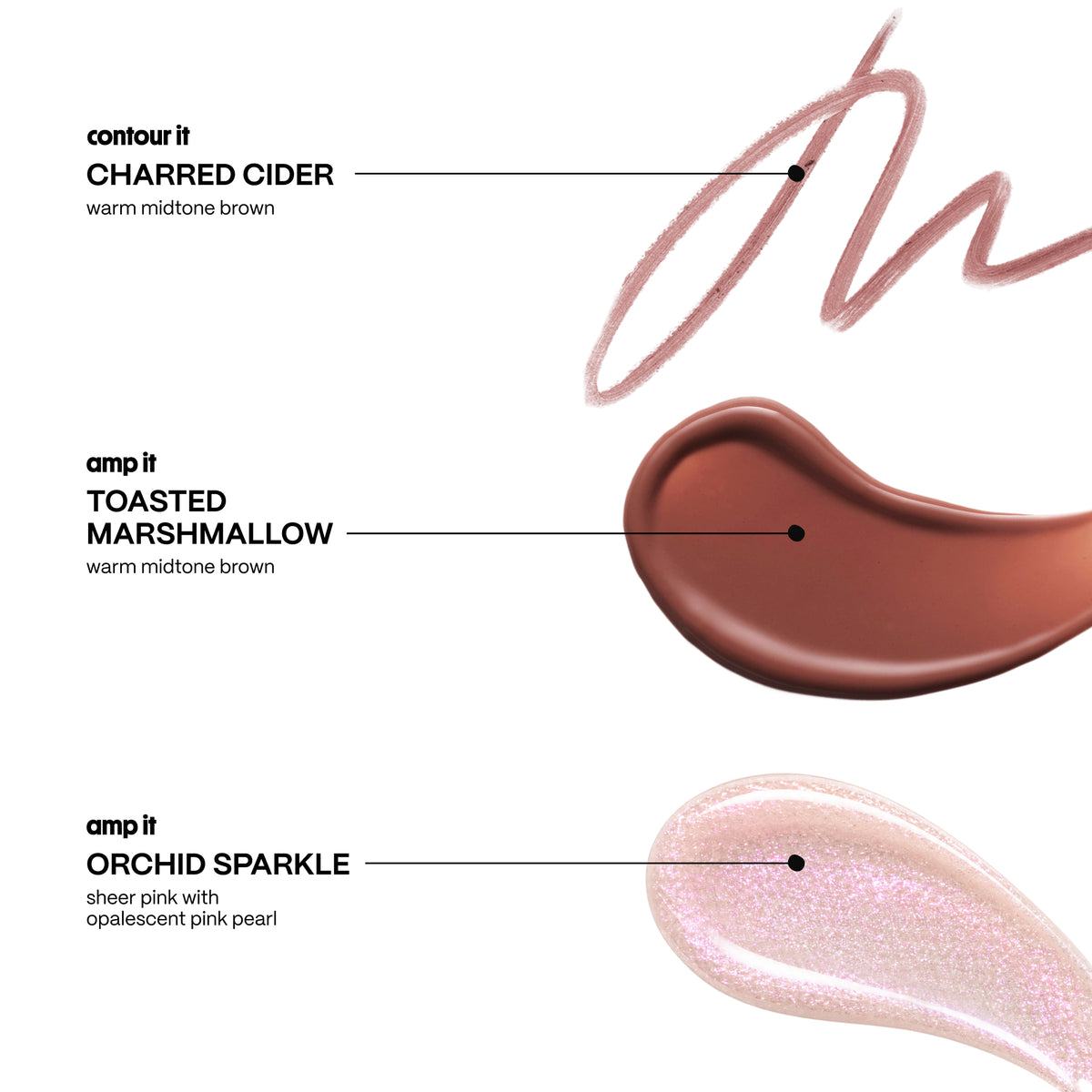 amp (k)it - orchid